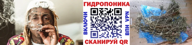 Бошки марихуана White Widow Новая Ляля